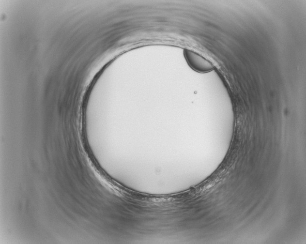 X0000057061523200510071353