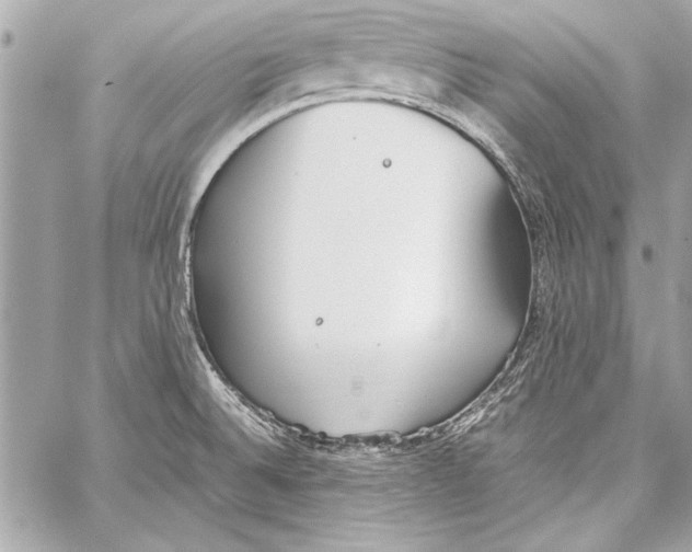 X0000057061524200510071353