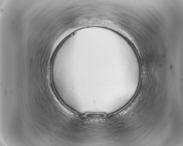 X0000057061525200510071353