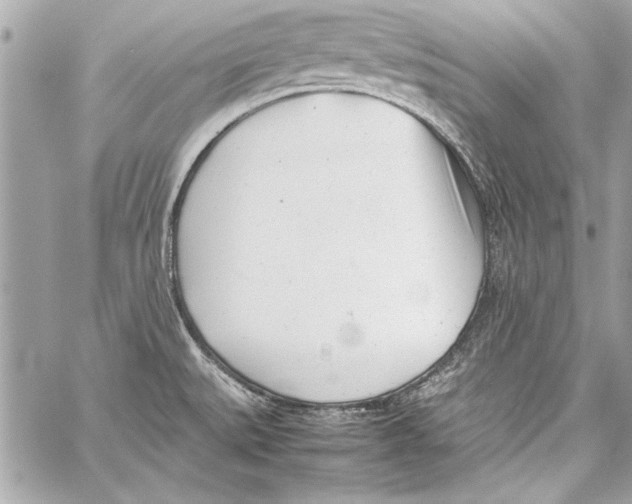 X0000057061527200510071353