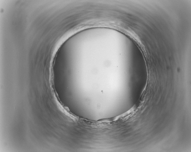 X0000057061528200510071353