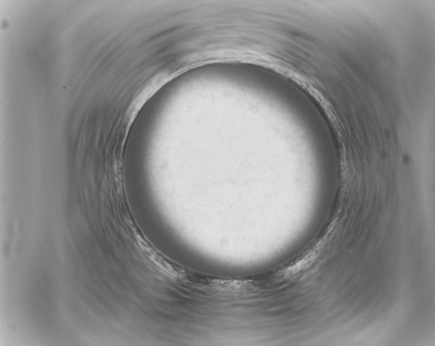 X0000057061529200510071353