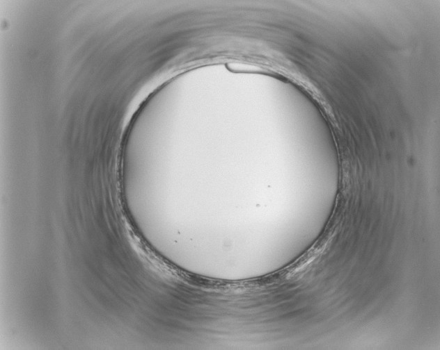 X0000057061530200510071353