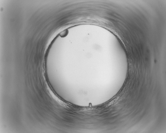 X0000057061531200510071353