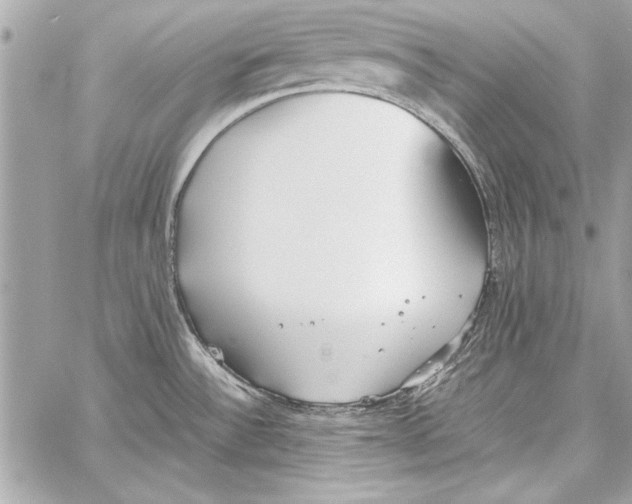 X0000057061532200510071353