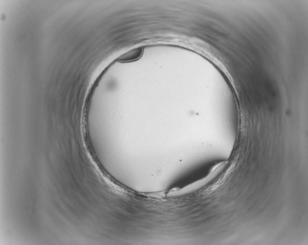 X0000057061533200510071353