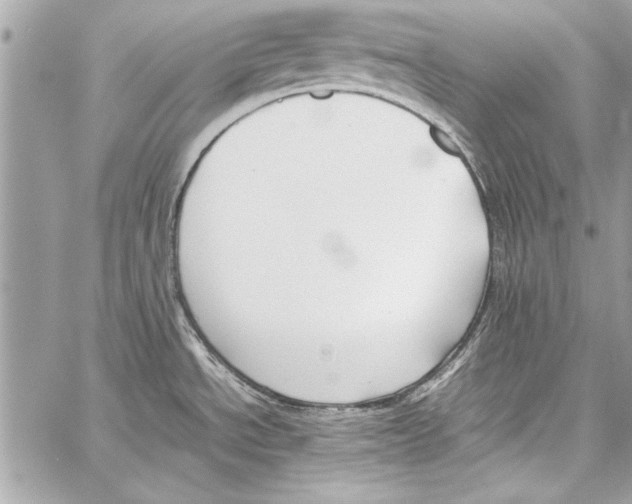 X0000057061534200510071353