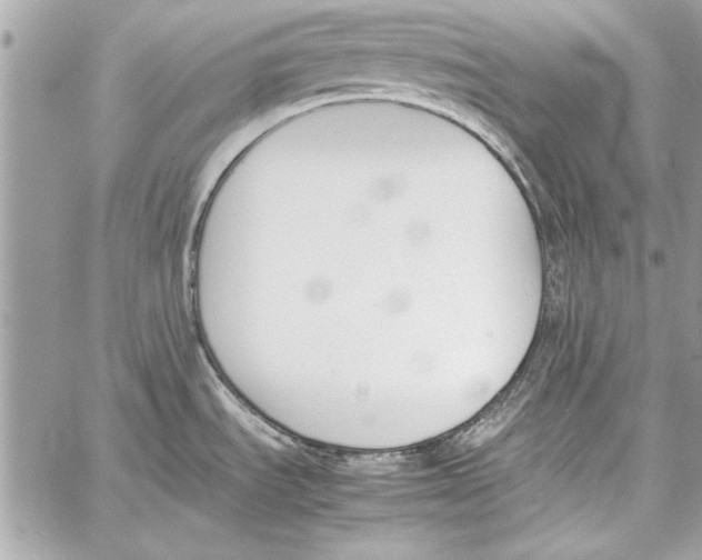 X0000057061535200510071353