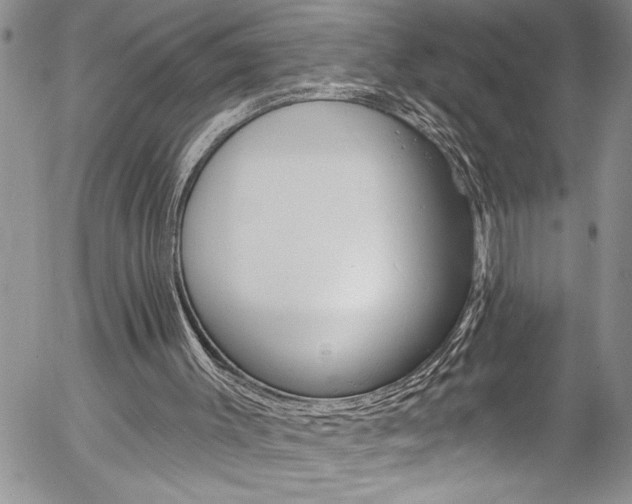 X0000057070003200509090854