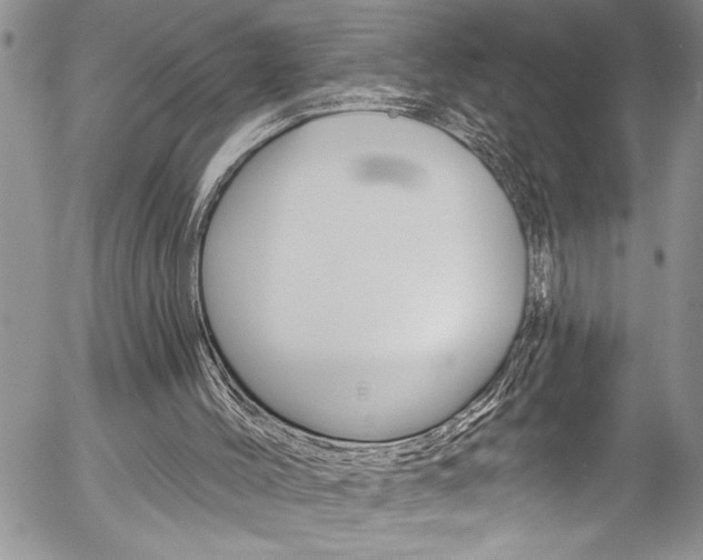X0000057070004200509090854