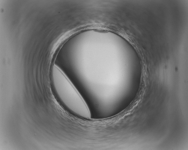 X0000057070007200509090854