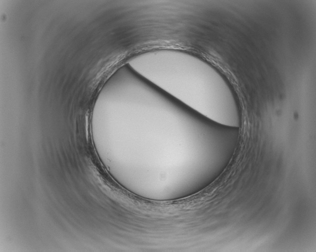 X0000057070014200509090854