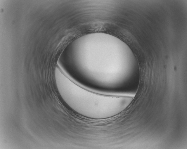 X0000057070035200509090853
