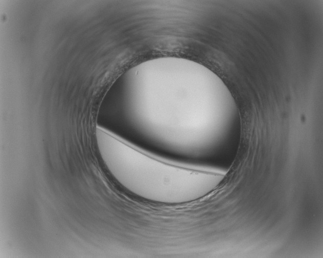 X0000057070040200509090853