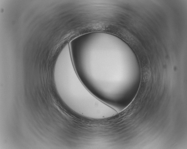 X0000057070072200509090853