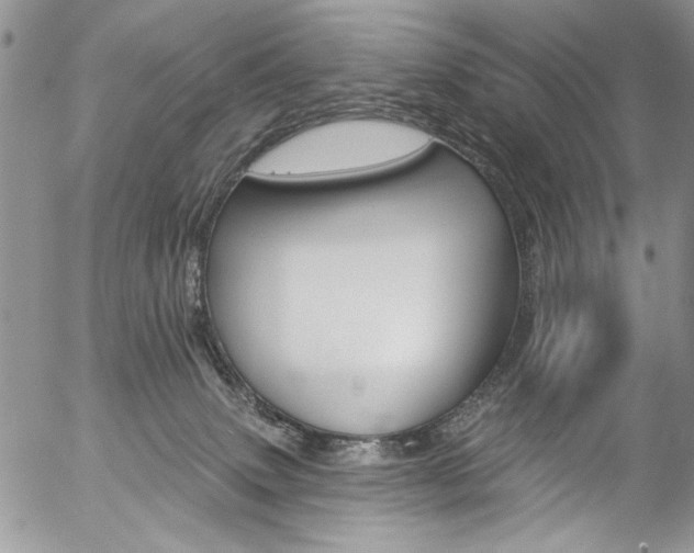 X0000057070083200509090853