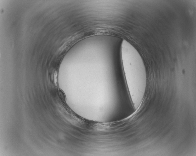X0000057070094200509090853