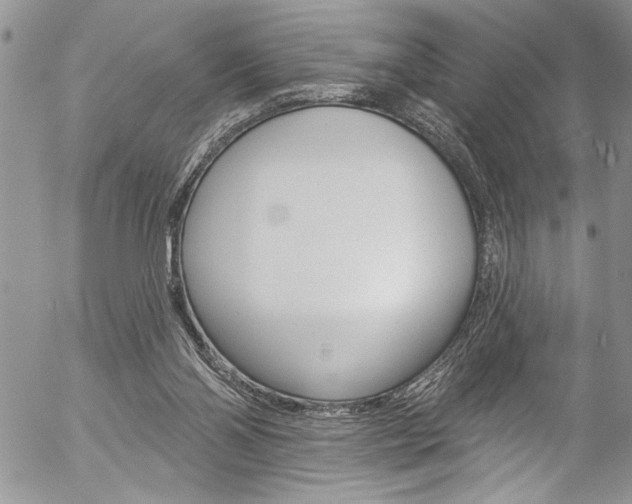 X0000057070110200509090852