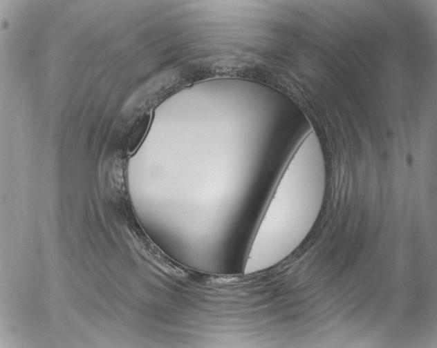 X0000057070137200509090852