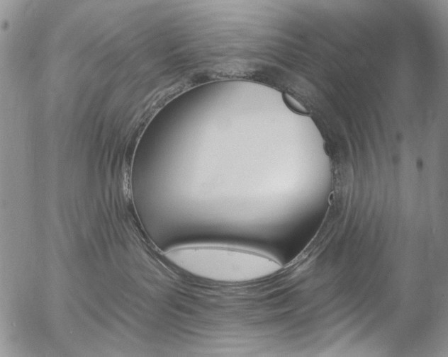 X0000057070143200509090852