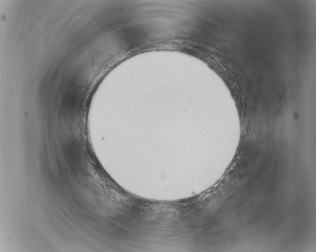 X0000057070146200509090851