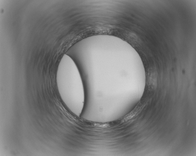 X0000057070185200509090852