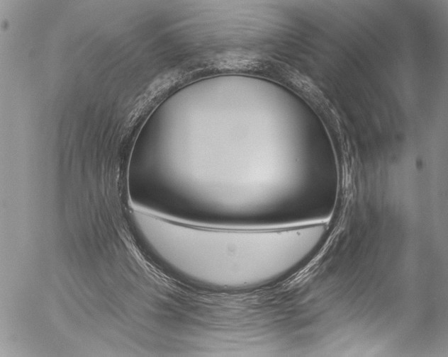 X0000057070201200509090851