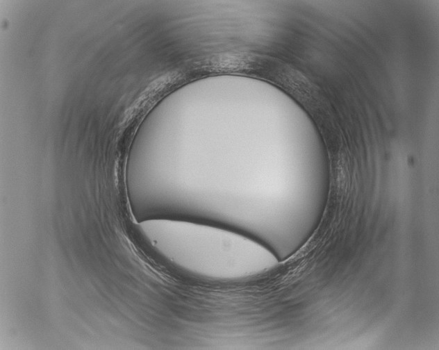 X0000057070206200509090851