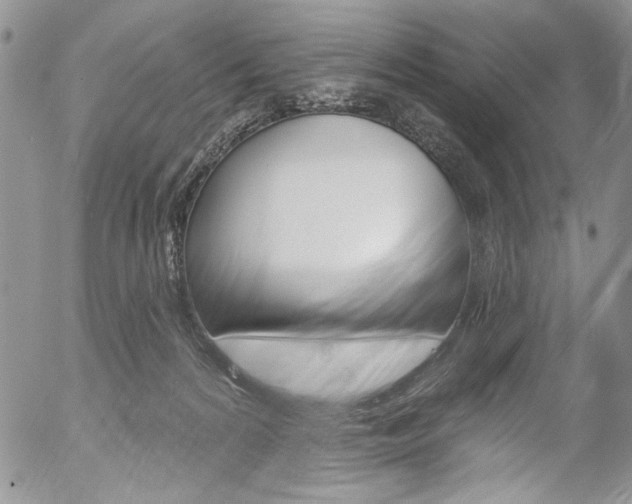 X0000057070224200509090850