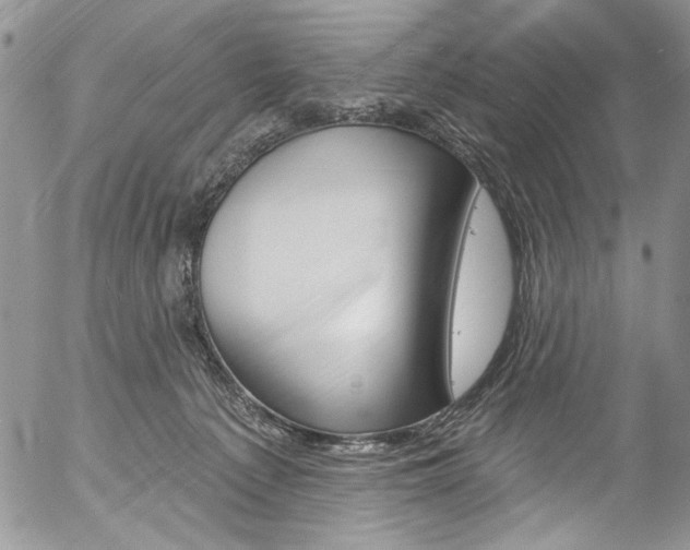 X0000057070225200509090850