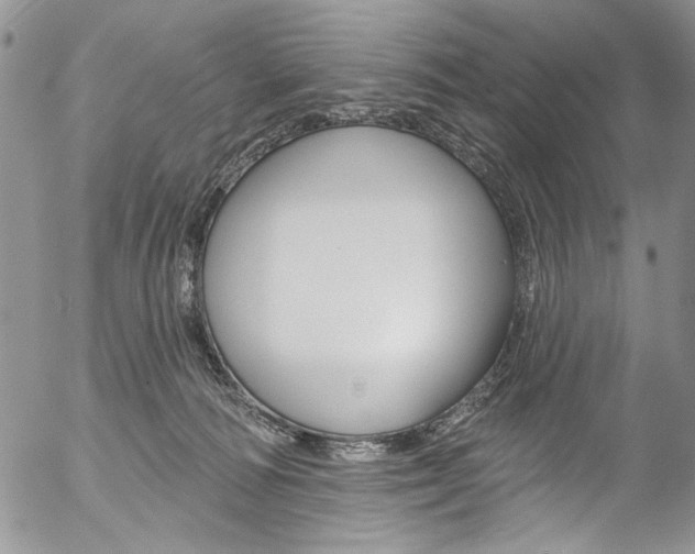 X0000057070226200509090850