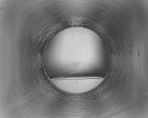X0000057070228200509090850