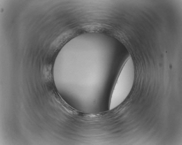 X0000057070239200509090850