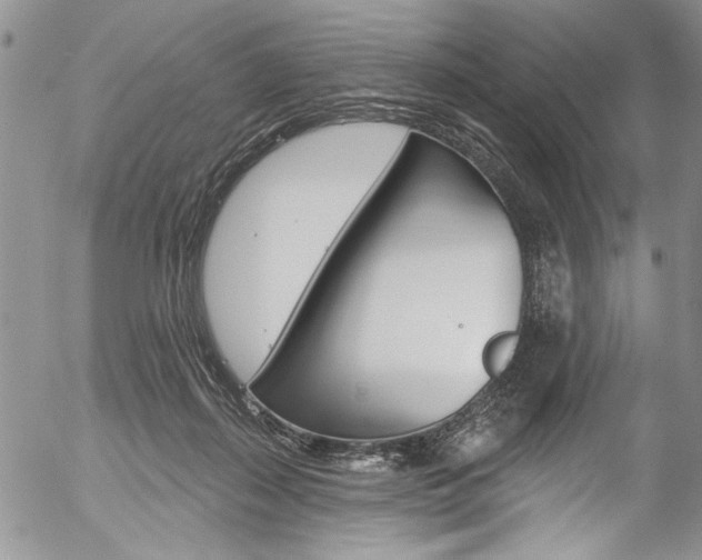 X0000057070267200509090850
