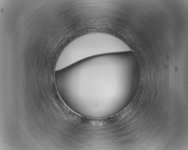 X0000057070272200509090850