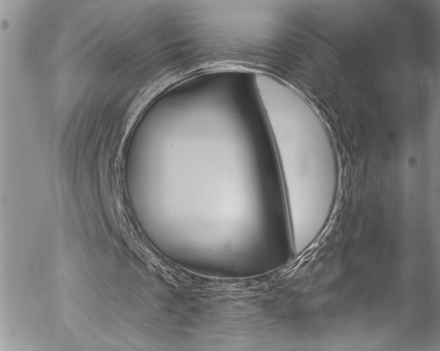 X0000057070289200509090849