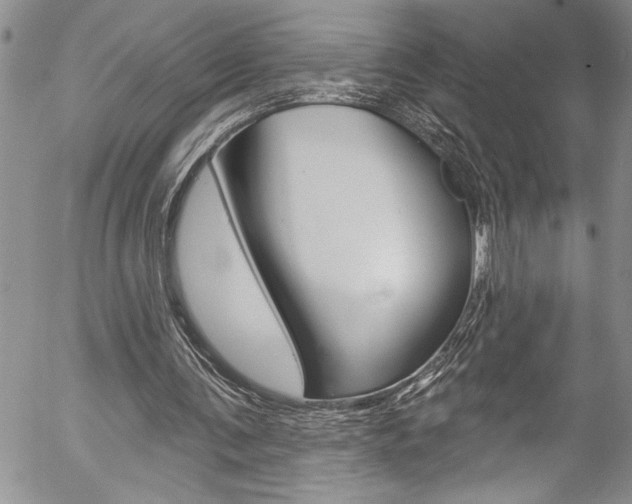 X0000057070291200509090849