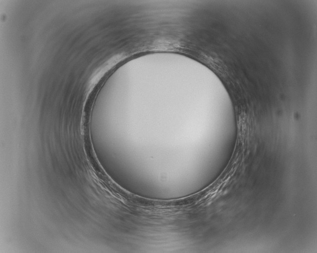 X0000057070292200509090849