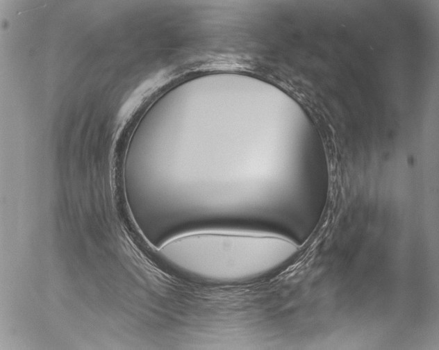 X0000057070296200509090849