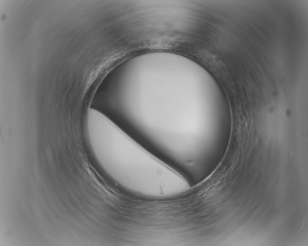 X0000057070299200509090849
