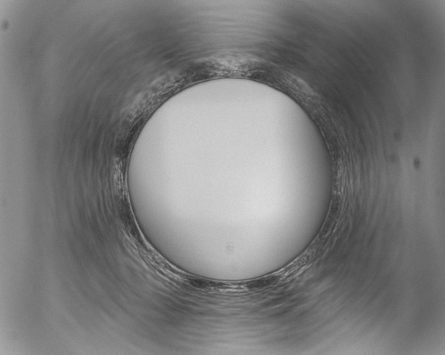 X0000057070318200509090849