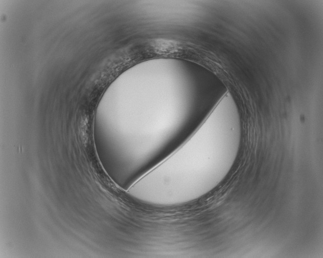 X0000057070319200509090849
