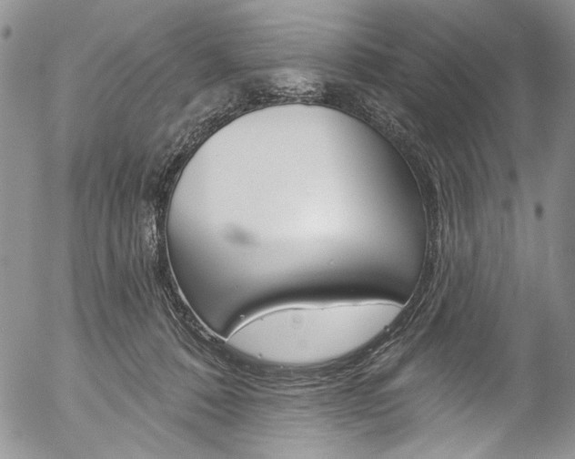 X0000057070320200509090849