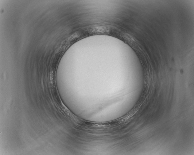 X0000057070326200509090849