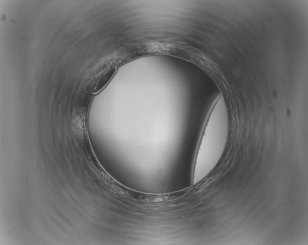 X0000057070329200509090849