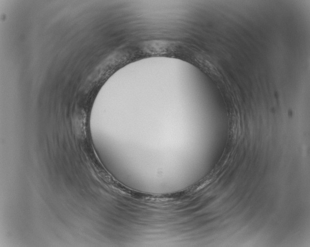 X0000057070332200509090849