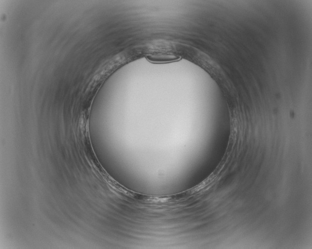X0000057070333200509090849