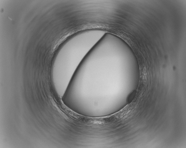 X0000057070352200509090848