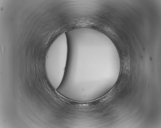X0000057070361200509090848