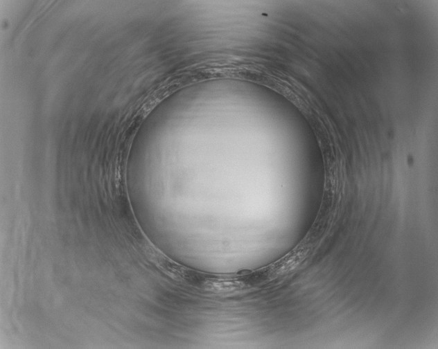 X0000057070372200509090848